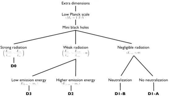 Fig. 1. Possible black hole evolution paths.