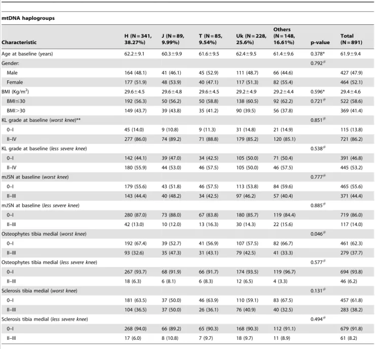 Table 1. Demographic characteristics of the study population at baseline grouped by mitochondrial DNA (mtDNA) haplogroups in the progression subcohort of the OAI.