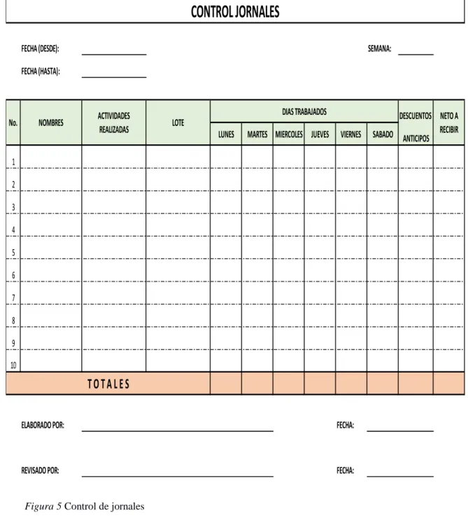 Figura 5 Control de jornales 