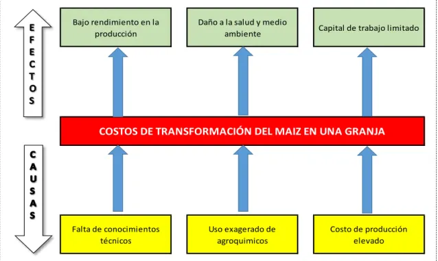 Figura 1 Árbol del Problema 