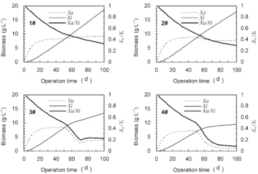 Figure 3. Variation of the active and inert biomass concentration of the four biofilters.