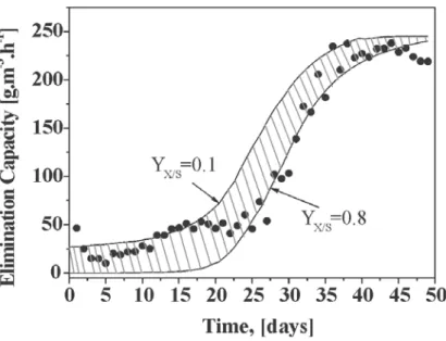 Figure 3. Experimental evolution of the pressure drop in the biofilter and model prediction.