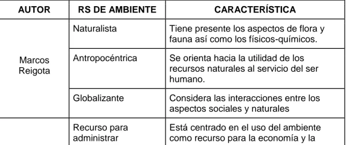 Tabla 1. Representaciones Sociales de Ambiente. 