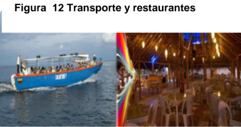 Figura  12 Transporte y restaurantes 