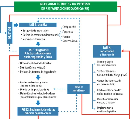 Figura 3. Fases para la formulación de un Plan de Restauración Ecológica. (Modificado de Aguilar  et al, 2015)