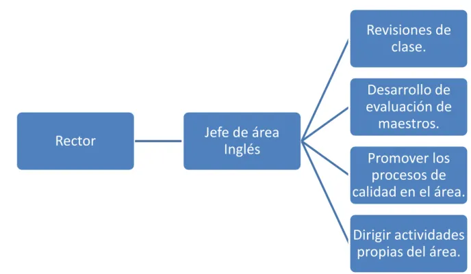 Tabla 5 Funciones de Jefe de área. 