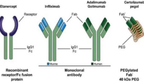 Tabla 3. Características más relevantes del inhibidor de IL-6 