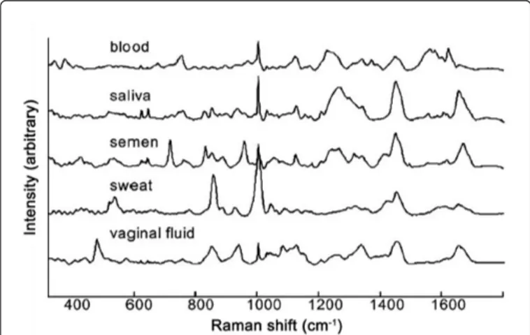 Figure 3: Raman spectra of blood, saliva, semen, sweat and vaginal fluid. Adapted with permission from [40].