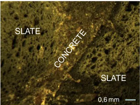 Figure 3: Optical microscopic image of expanded slate in concrete  2.3.3 Pumice 