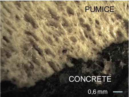 Figure 4: Optical microscopic image of pumice in concrete  2.3.4 LWA Requirements 