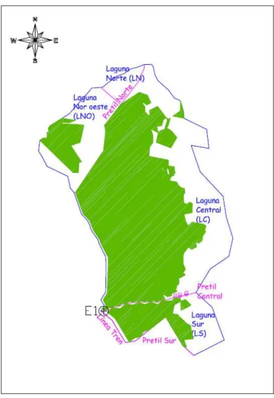 Figura 2-2:  Subdivisiones laguna de Batuco  Fuente:  Mellado, 2008 