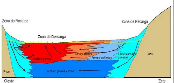 Figura 2-3: Propuesta de situación hidrogeológica del humedal de Batuco.  La  línea amarilla señala la profundidad del acuífero y las flechas negras señalan la  dirección del flujo del agua subterránea