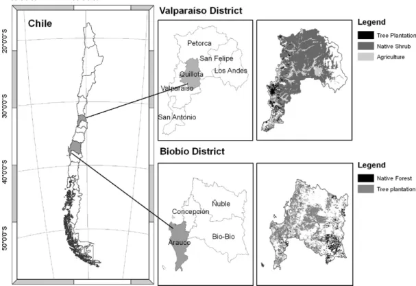 Fig. 8. Two areas illustrating recent trends in land cover change in south-central Chile