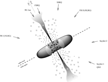 Figura 3.8: Esquema del modelo unificado fuerte. Astrophysical origins of ultrahigh energy cosmic rays