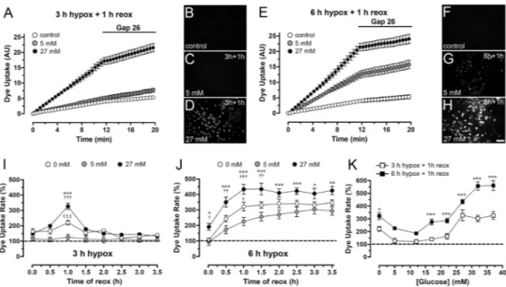 Figure 1. Hypoxia-reoxygenation increases rate of Etd uptake by rat astrocytes; an effect potentiated by high glucose