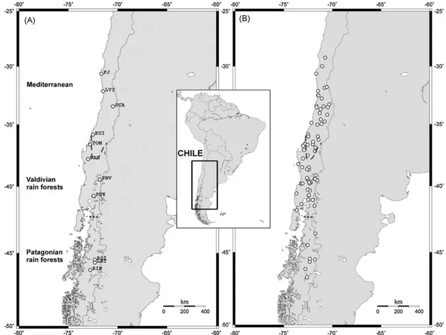 Fig. 1. Map of the sampled localities of O. longicaudatus used for (A) molecular analyses, and (B) seropositivity to ANDV in Chile