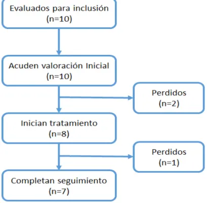 Figura 4.1 - Flujo de participantes 