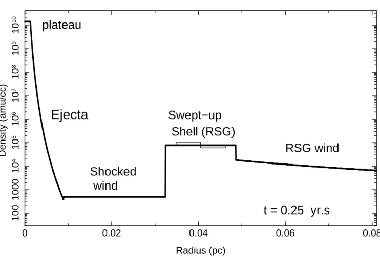 Figure 2. The initial density profile of the SN ejecta and CSM, used as initial conditions in the hydrodynamic simulations