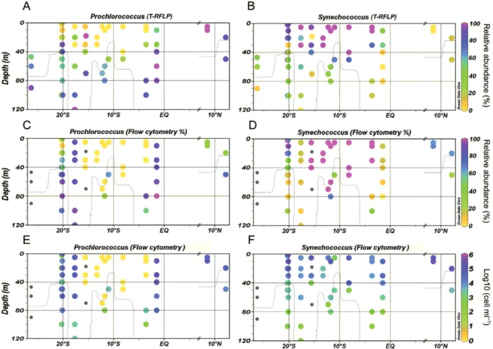 Fig. S3), representing up to 5.3% of the total microbial prokaryotic community. Prochlorococcus clades showed considerable variation in their relative abundance along the latitudinal profiles but displayed the characteristic niche-partitioning in the water