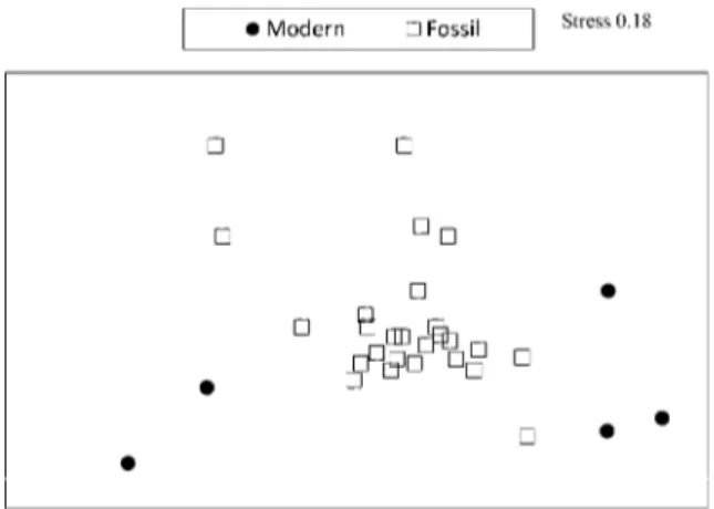 Figure 4. Ordination analysis (NMDS) comparing the species composition of ﬁve modern and 29 late Quaternary (last interglacial and Holocene combined) bivalve assemblages