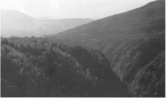 Fig. 12 (a). Deep narrow valley cut in sandstonc near Knysna, in the Cape Fold Belt, South Africa.