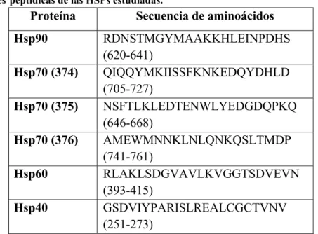 Tabla 5. Regiones peptídicas de las HSPs estudiadas.  
