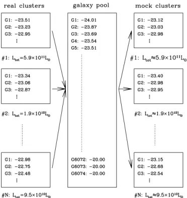 Figure 1. Illustration of our method for obtaining the LD of all cluster galaxies and for creating mock clusters