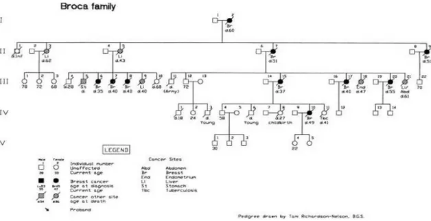 Figura 8.  Descripción del primer árbol genealógico con agregación de cáncer de mama. 