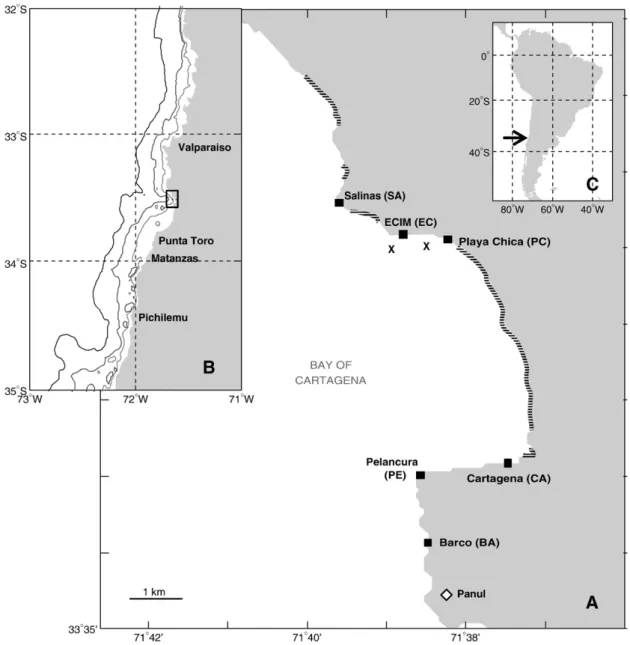 Fig. 1. (A) Geographic location of the study area, and spatial distribution of the sites where settlement was monitored over 3 consecutive seasons (squares)
