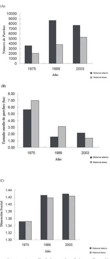 Fig. 3: Número de parches, tamaño medio de los parches (ha) y su dimensión fractal para mato- mato-rral abierto y denso en la precordillera de Santiago entre 1975 y 2003.