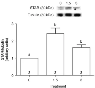 Figure 9 2-Methoxyestradiol increases oviductal STAR levels in unmated rats. Densitometric analysis of western blots to detect STAR protein in oviductal samples (20 mg, NZ3 animals by treatment) from unmated rats taken 1.5 and 3 h after a s.c