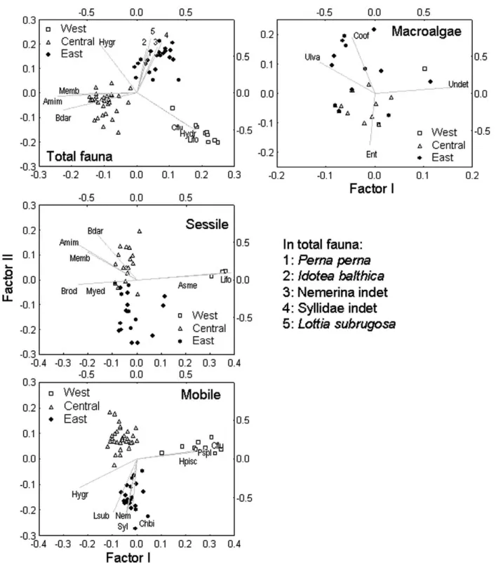 Fig. 4. – canonical analysis of principal coordinates performed on total fauna and on organisms discriminated by functional groups (sessile  fauna,  mobile  fauna,  macroalgae)