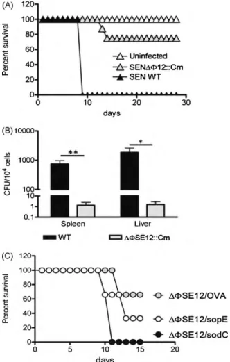 Fig. 3. Deletion of prophage ␾SE12 reduces the capacity of S. Enteritidis to cause disease in mice
