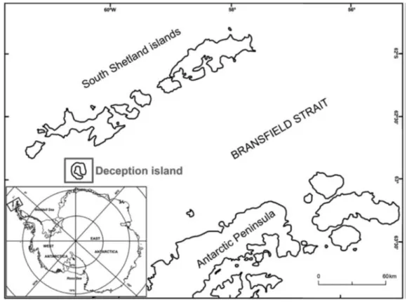 Figura  2.  Localización  de  Isla  Decepción  en  el  archipiélago  de  las  Shetland  Sur,  Antártida  (tomado  de  Ramos et al., 2017)