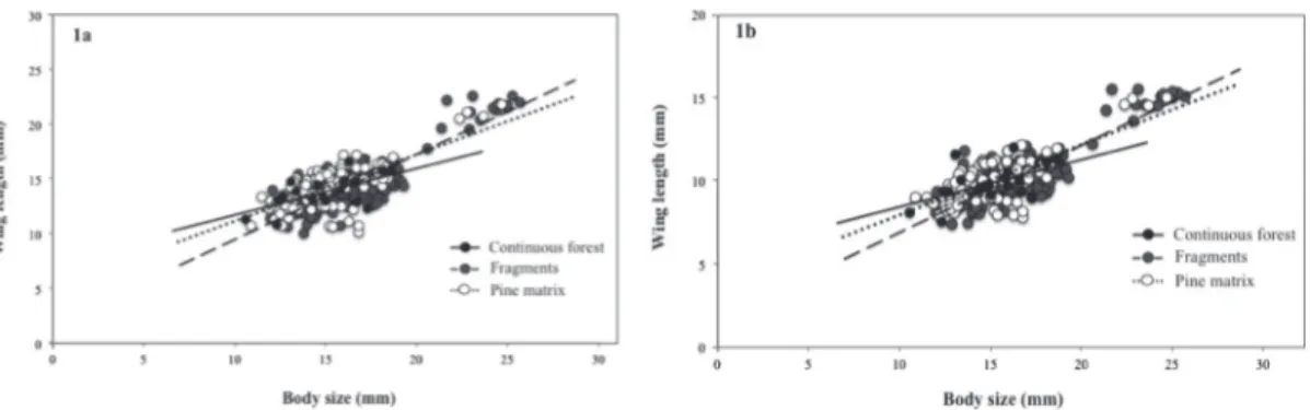 Figure 1.  Relationship between the length of a) the first and b) the second pairs of wings (mm) and body size (mm) of  individuals of Bombus dahlbomii in three different habitats in the Maulino forest.