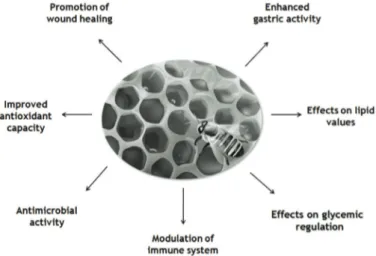 Figure 1.  Main effects on human health attributed to natural honey intake.