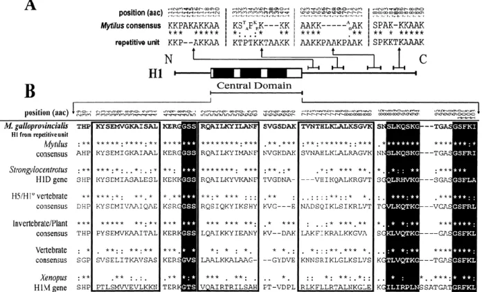 Figure 3. Length variation and analysis of the central protein domain in H1 histones. A Location and characterization  of  amino  acid  indel  events  (in  boldface)  in  the  H1  C-terminal  domain,  compared  with  the  consensus  sequence  in  the  genu