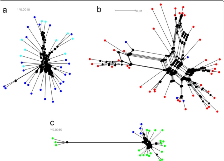 Figure 2 Phylogenetic networks of 5S rDNA constructed using the neighbor net algorithm