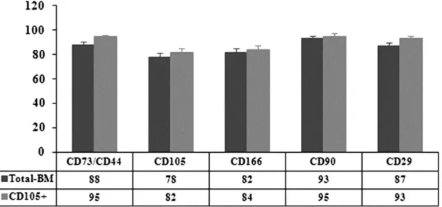 Fig. 1. Surface antigen expressions of non-selected (total-BM) and selected (CD105+) cells
