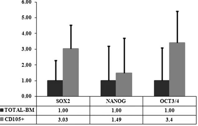 Fig. 3. Stem cell marker gene expression levels of non-selected (total-BM) and selected (CD105+) cells at the start of experiments