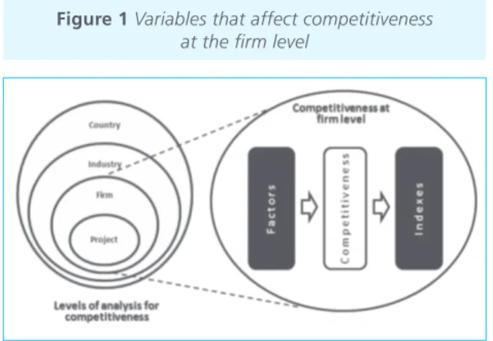 Figure 1 Variables that affect competitiveness at the fi rm level