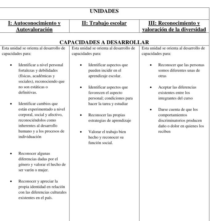 Figura explicativa sobre las unidades I, II y III y las capacidades a desarrollar en  ellas