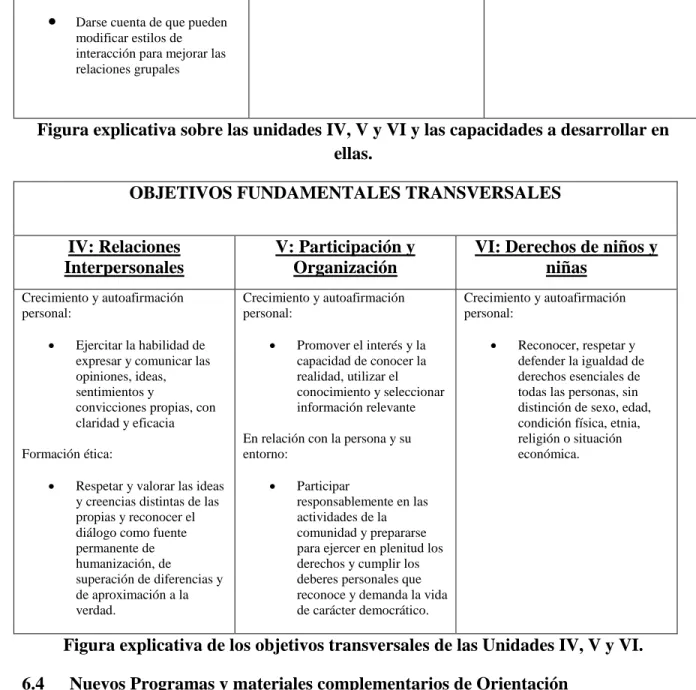 Figura explicativa de los objetivos transversales de las Unidades IV, V y VI. 