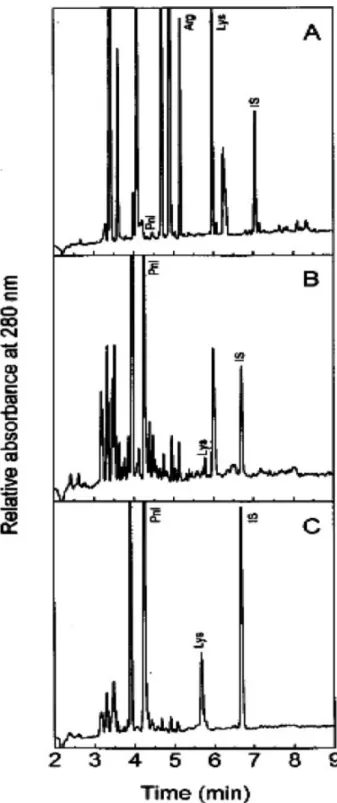 Figure 6. Electropherograms corresponding to the separation of