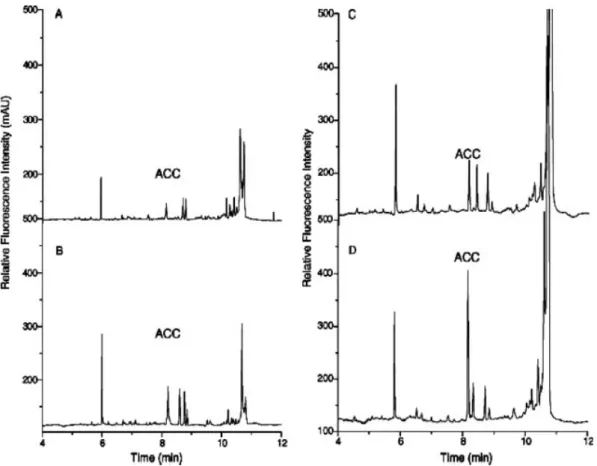 Figure 7. Electropherograms of 1-aminocyclopropane-1-carboxylic acid (ACC) in apple extracts by CE with LIF detection, using aqueous
