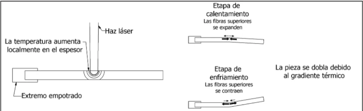 Figura 2.3. Esquema del mecanismo de gradiente térmico. 