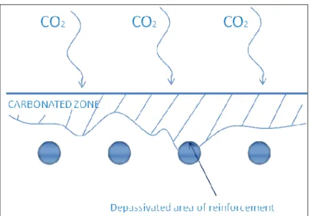 Figure 6: Carbonated front in concrete (Richardson, 2004) 