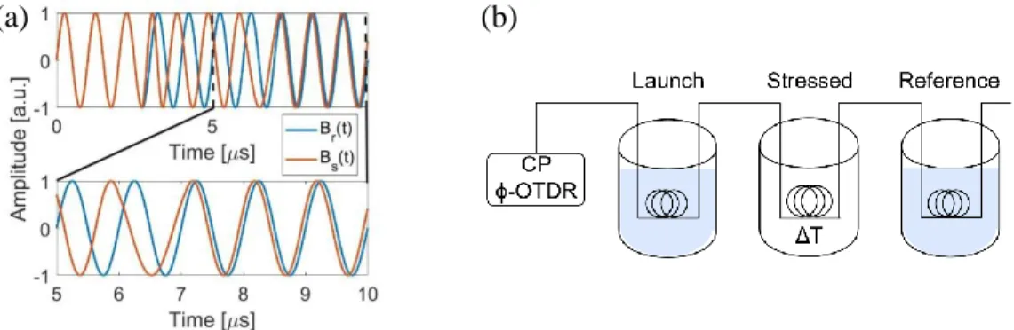 Figure 1. (a) Consequences of a localized stress on a simplified  