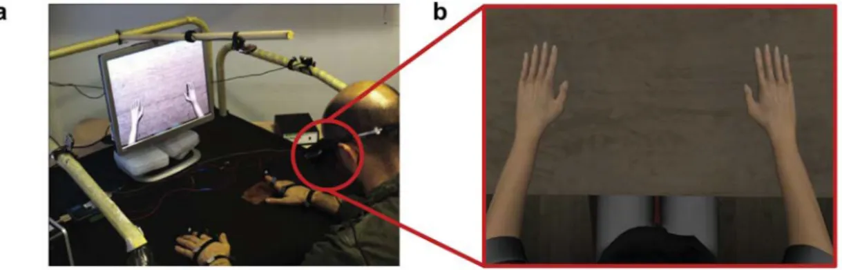Fig. 1. Virtual Reality System. a) Subjects wore a Head-Mounted Display unit (HMD) and were “immersed” in VR, showing the  avatar in 1st person perspective; observing the world only through the HMD, (the PC monitor illustrated was a copy of the display  fo