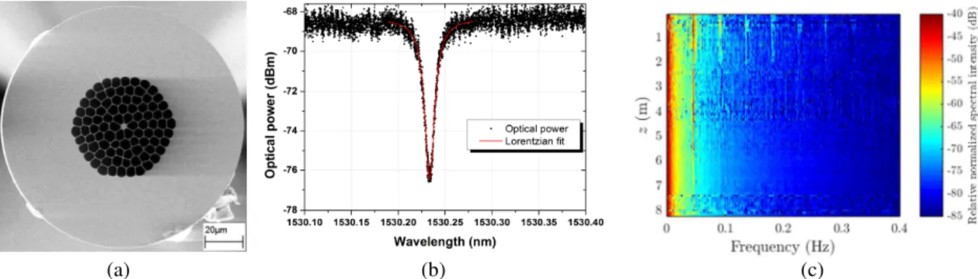 Fig.  2.  (a)  SEM  image  of  the  MSF  cross-section;  (b)  Detail  of  the  absorption  spectrum  of  the  fiber  around  the  P9  absorption  line  of  acetylene